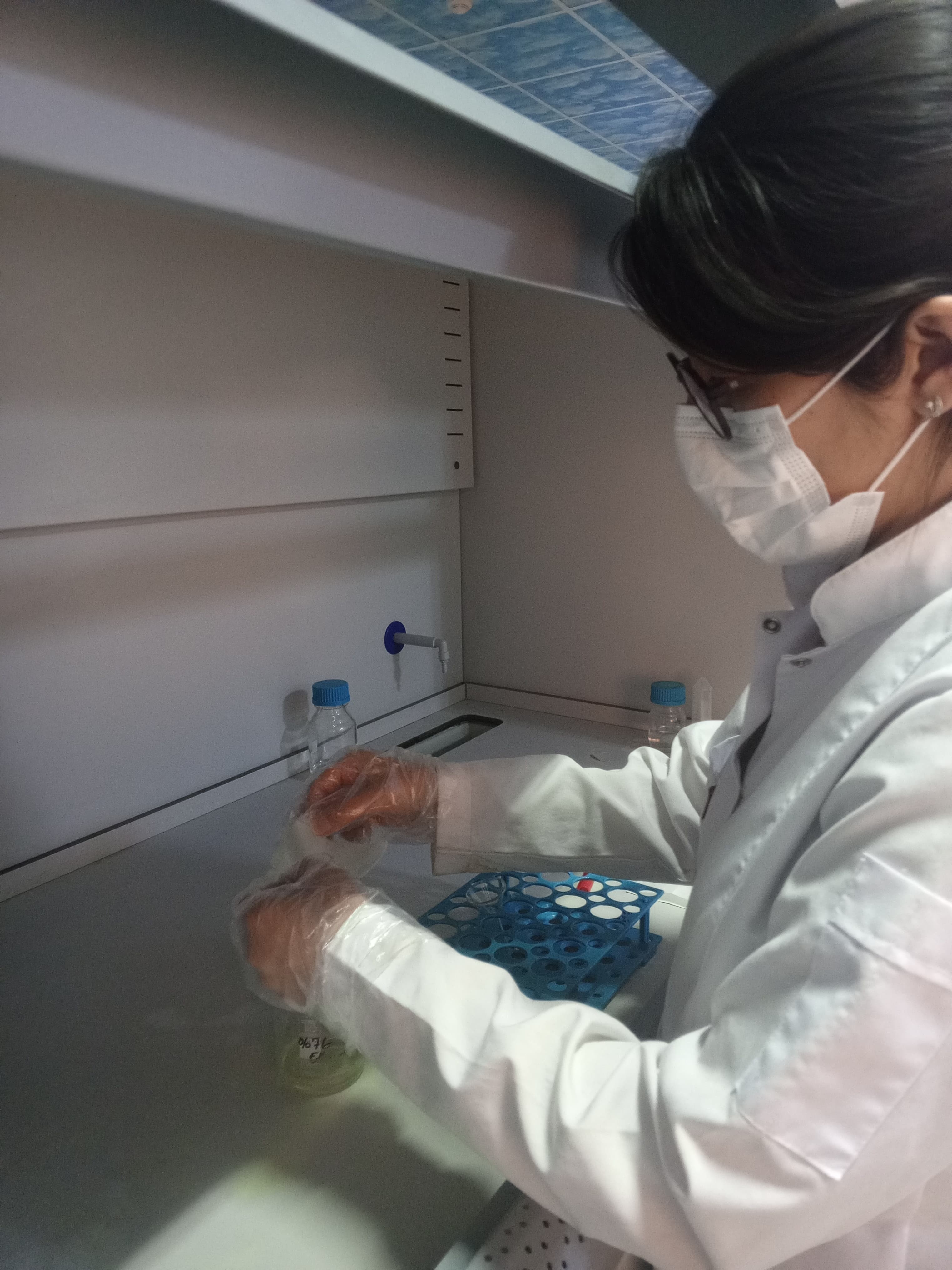 CELLU NANO TECH Süreç Fotoğrafı 2