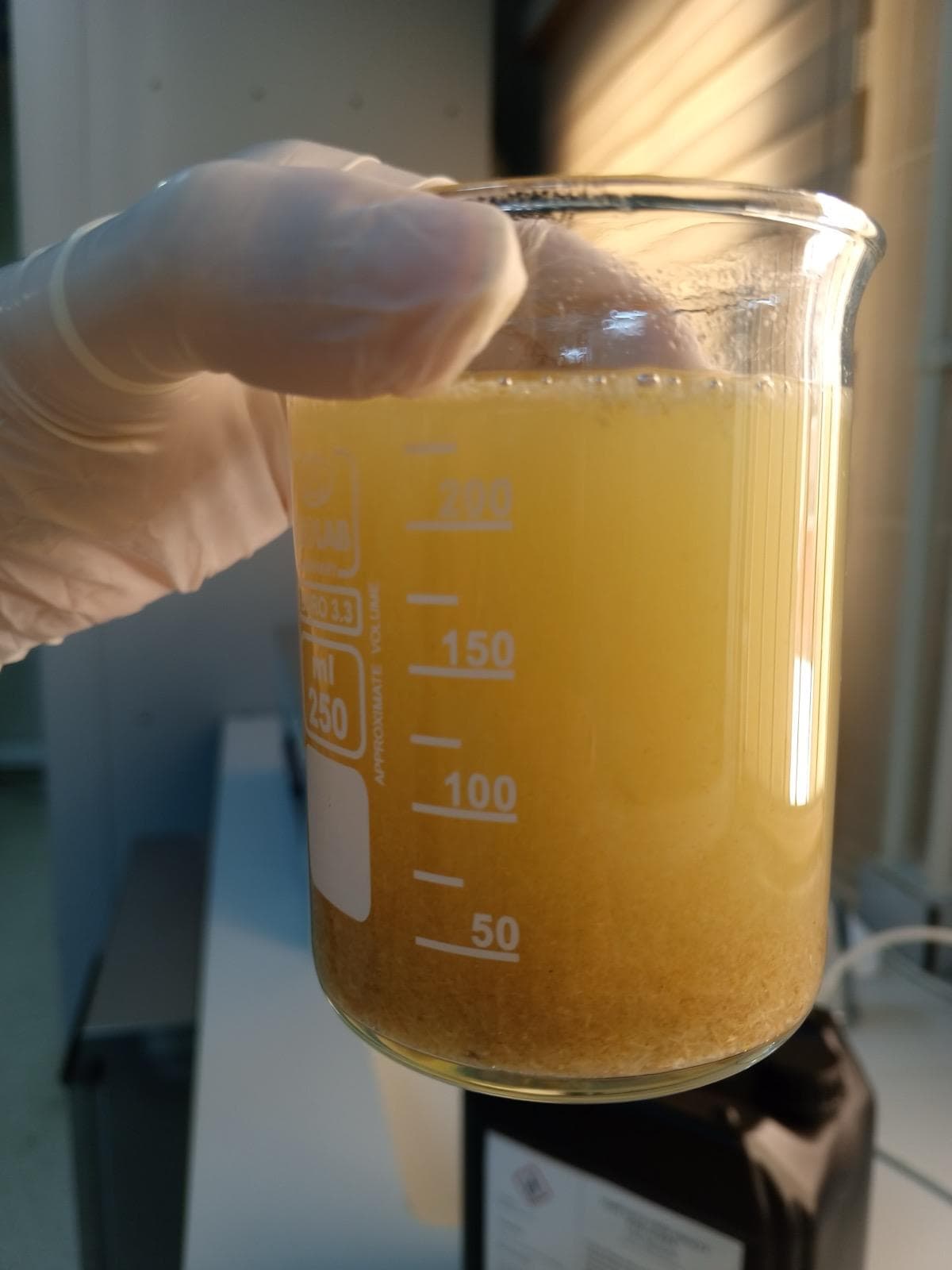 CELLU NANO TECH Süreç Fotoğrafı 5