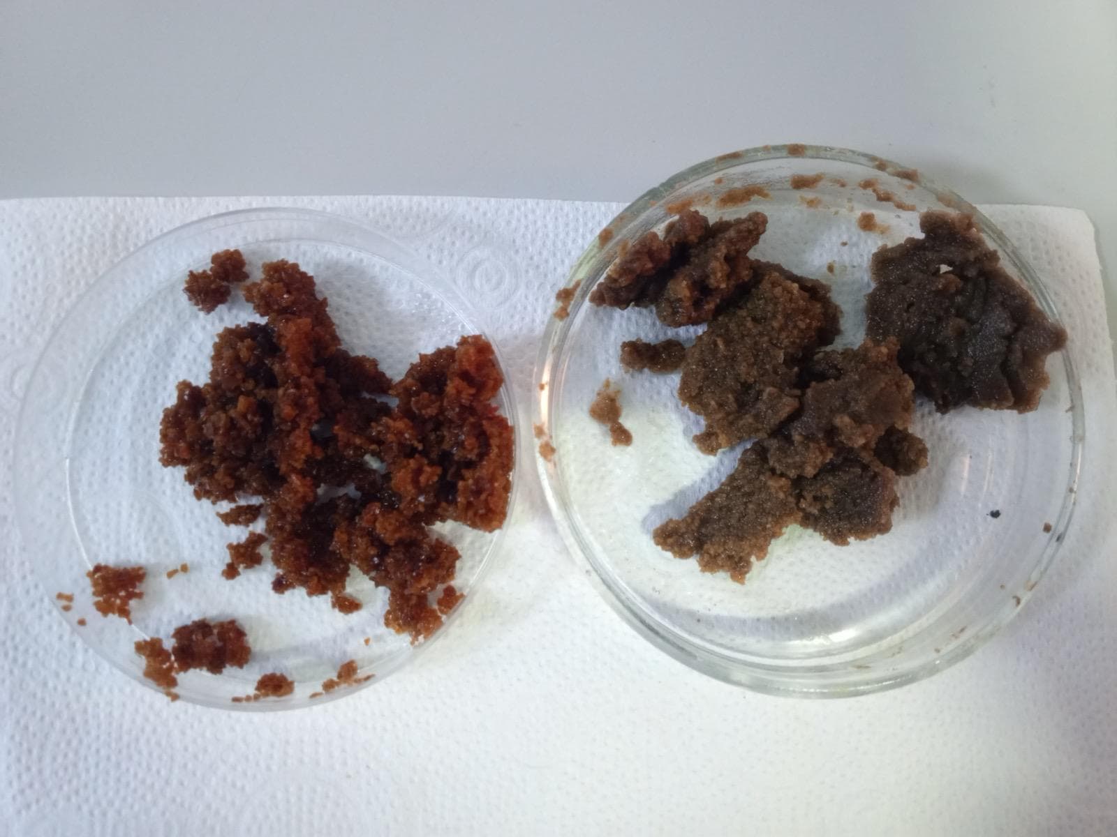 CELLU NANO TECH Proje Fotoğrafı 4