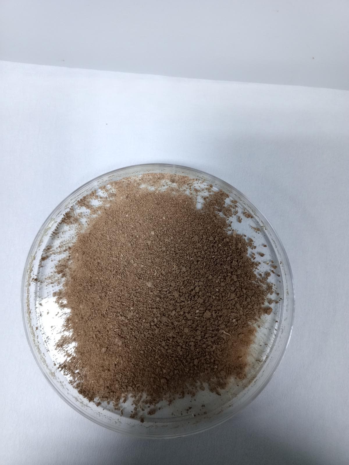 CELLU NANO TECH Proje Fotoğrafı 5